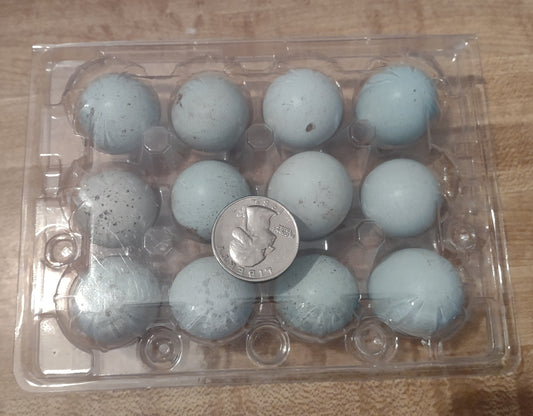 A Dozen Quail eggs